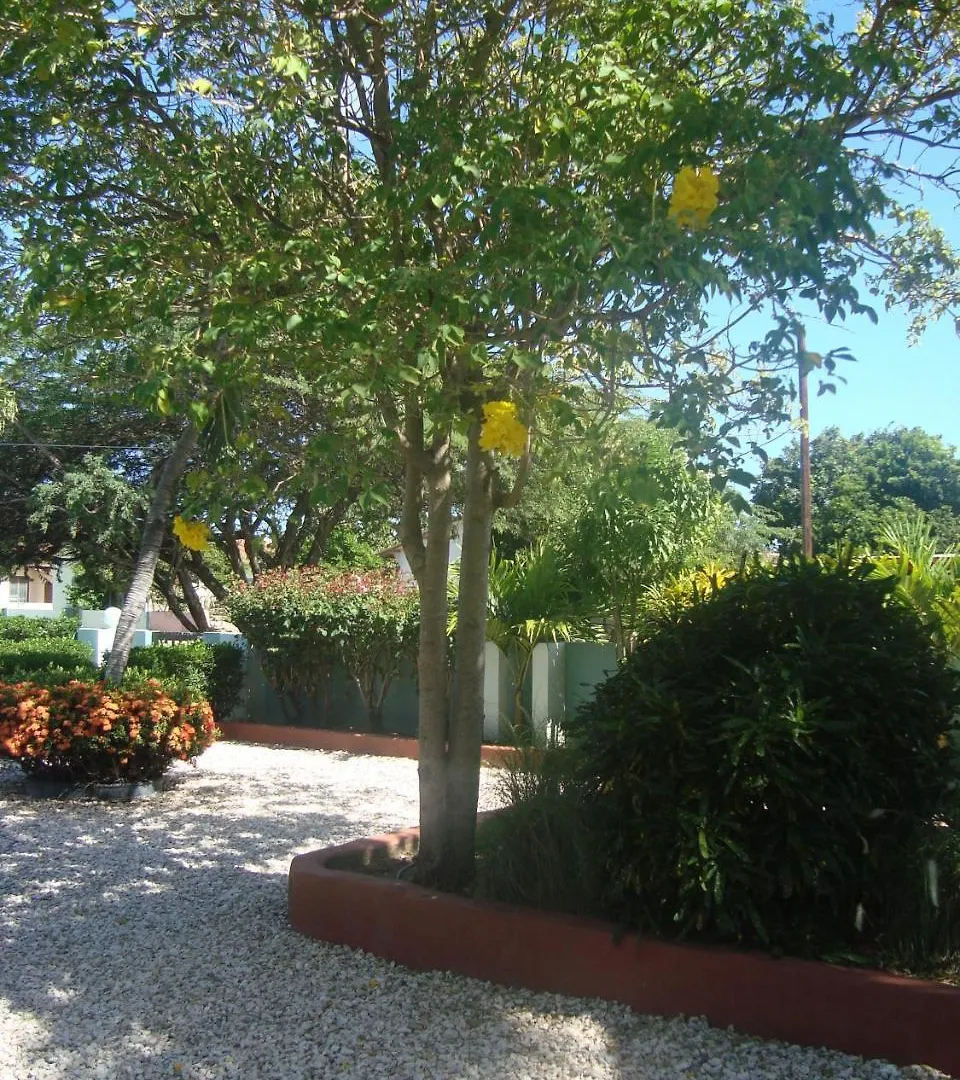 The Merry Milestone Oceanfront Villa At Spanish Lagoon Pos Chiquito 0*,  Aruba